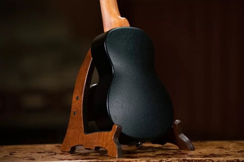 Ortega K2-SR