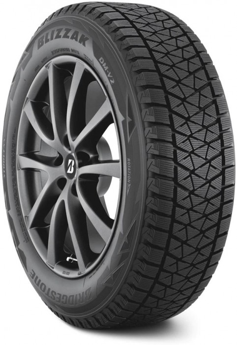 Bridgestone Blizzak DM-V2