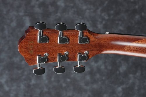 Ibanez AEG220