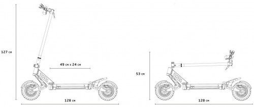 Motus Pro 10 Sport 2021