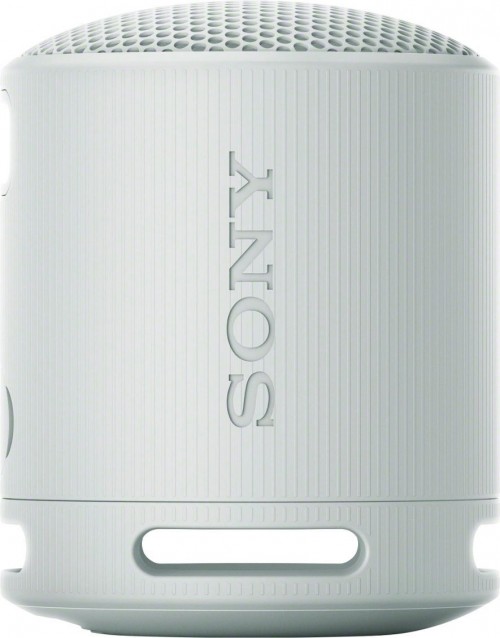 Sony SRS-XB100