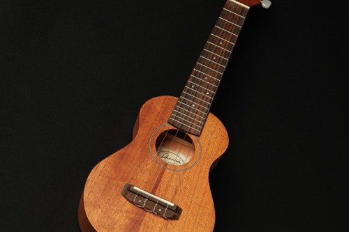 Takamine EGUT1