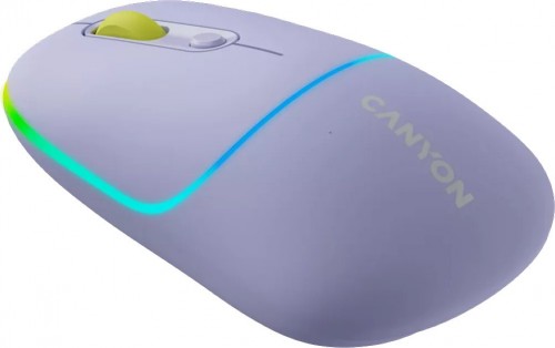 Canyon CNS-CMSW22