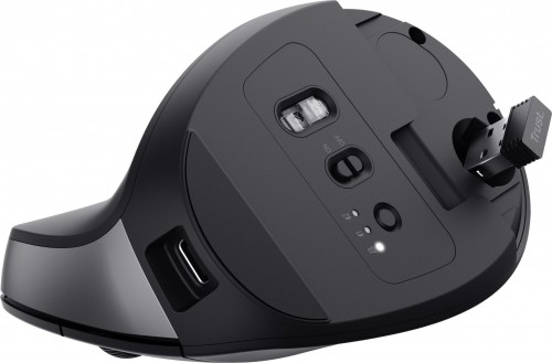 Trust Bayo+ Multidevice Ergonomic Wireless Mouse