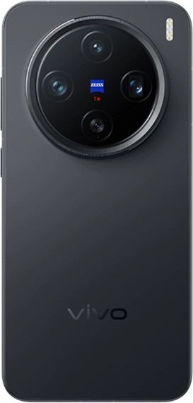 Vivo X200 Pro mini