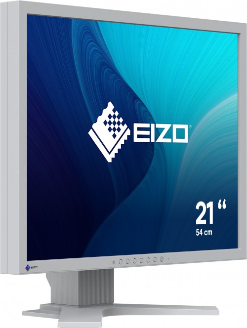 Eizo FlexScan S2134