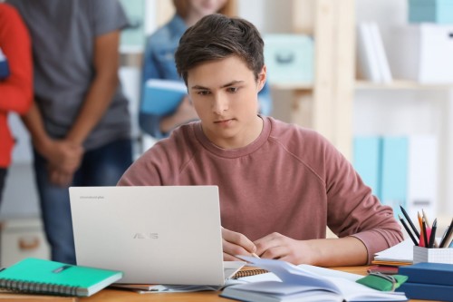 Asus Chromebook Plus Enterprise CB34 CB3402CVA