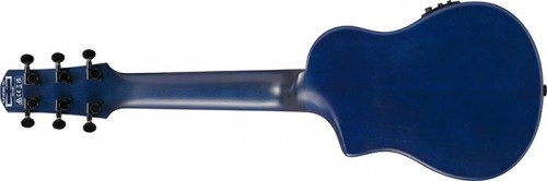 Ibanez AUP10FMNE