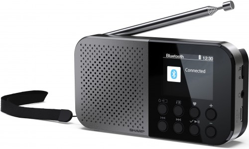 Sharp DR-P520