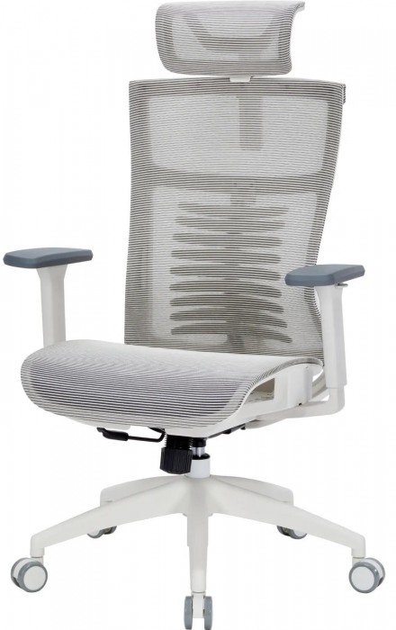 OfficePro Balance OC620