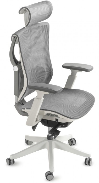 ADAPWORK S1 Mesh Senior ErgoChair