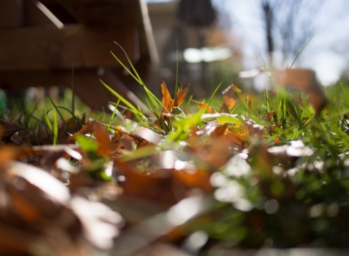 Panasonic 20mm f/1.7