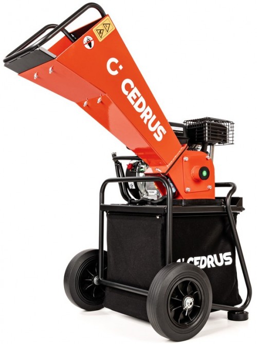 Cedrus RB01C