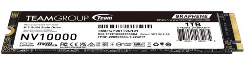 Team Group TM8FGP001T0C101