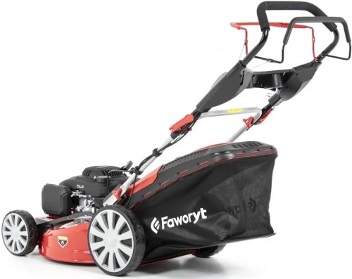 FAWORYT SHE51N196L-4W1