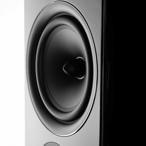 Wilson Exclusive Line EL-10