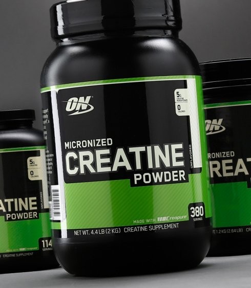 Optimum Nutrition Creatine Powder 600 g