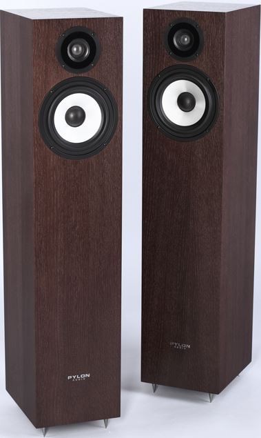 Pylon Audio Pearl 20