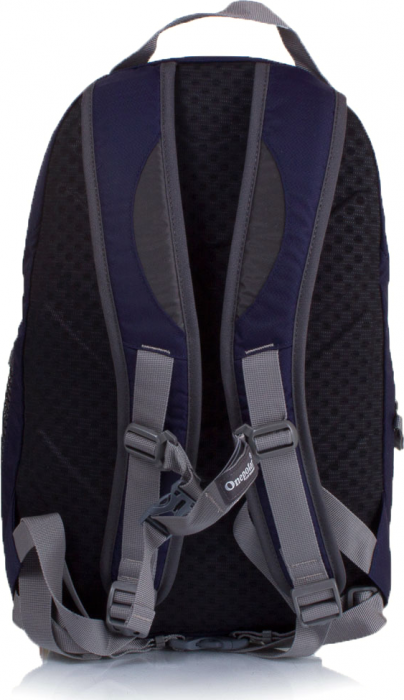 One Polar 1391