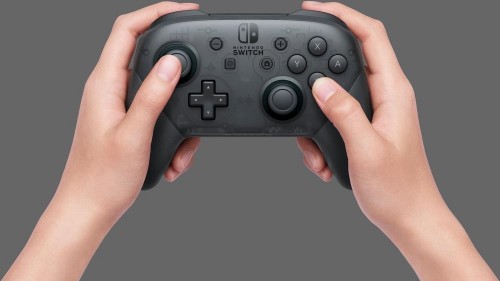 Nintendo switch pro controller