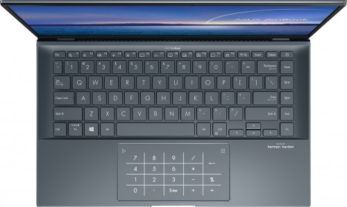 Asus ZenBook 14 UX435EG