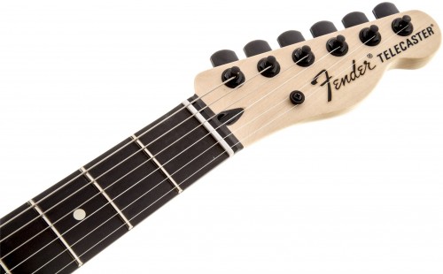 Fender Jim Root Telecaster