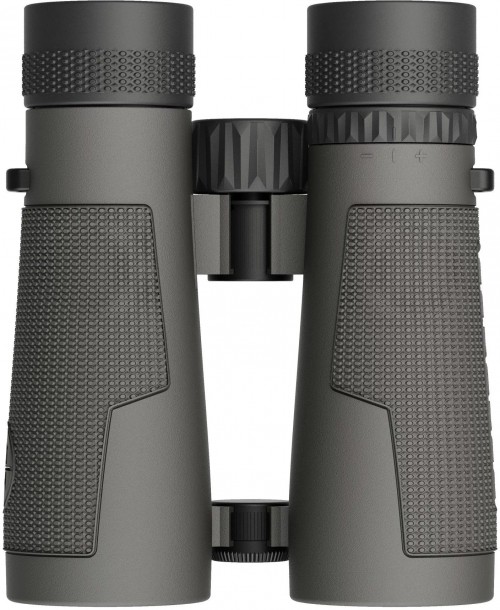 Leupold BX-5 Santiam HD 8x42