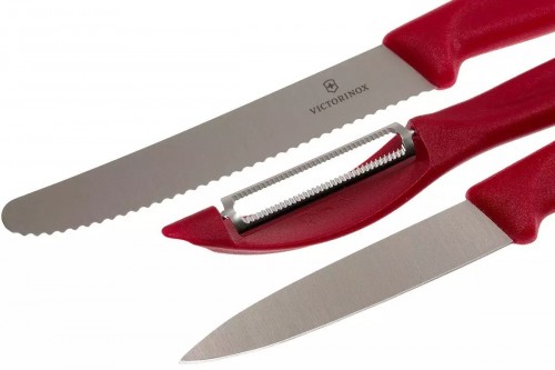 Victorinox Swiss Classic 6.7111.31