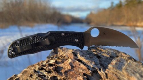 Spyderco Endela C243FSWCBK