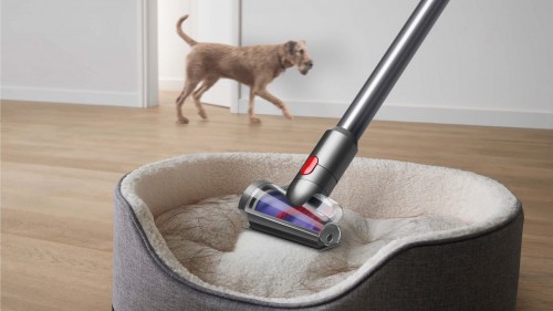 Dyson V8 Absolute New