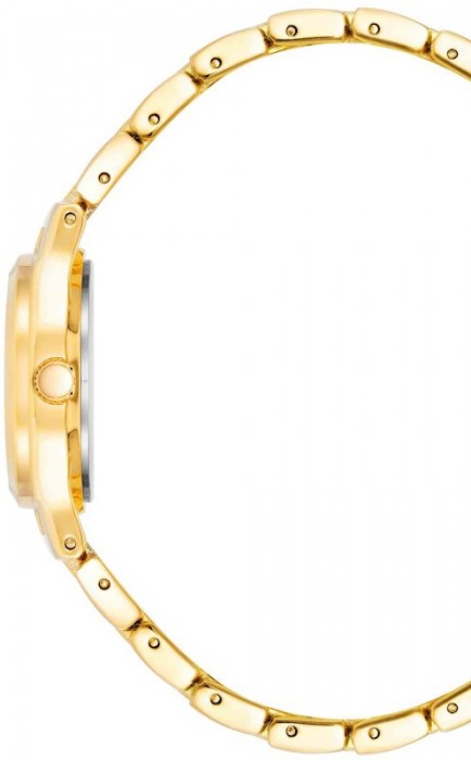 Anne Klein 10/5490MPGB