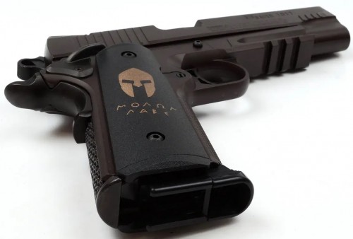 Sig Sauer 1911 Spartan