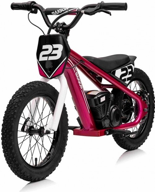 Ramiz Baigor 23 Pro