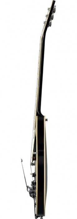 Epiphone Shinichi Ubukata ES-355