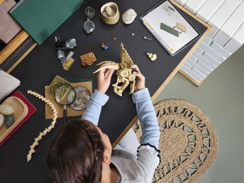 Lego Dinosaur Fossils Triceratops Skull 76969