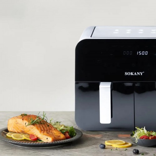 SOKANY SK-10005