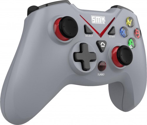 Silver Monkey X Tsukkomi