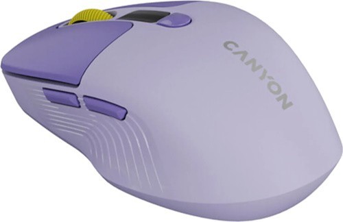 Canyon CNS-CMSW26