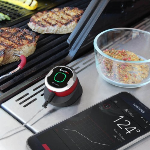 Weber iGrill mini