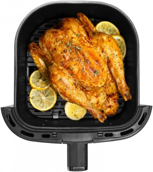 Moulinex EasyFry&Grill Precision EZ505810