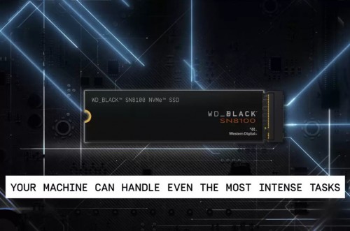 WD Black SN8100