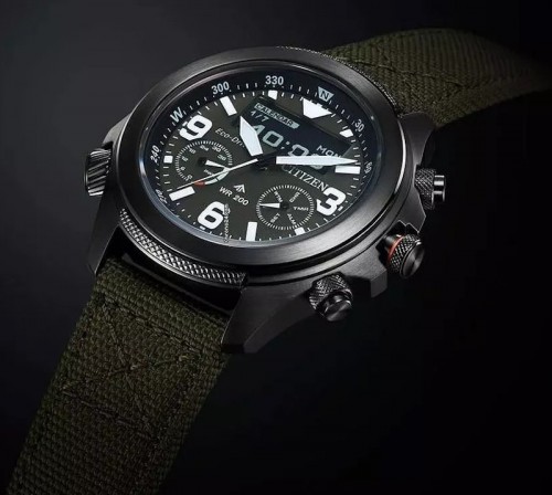 Citizen Promaster Land JV1005-02W