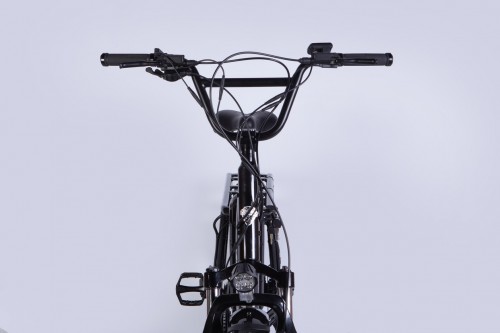 Dorozhnik eAdamant DD FR 750W 2025