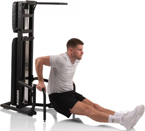 Hammer Bench Pullup & Dip