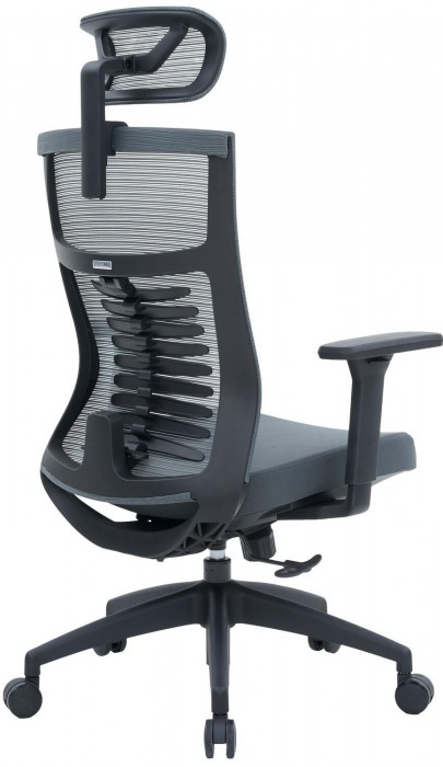 OfficePro Balance OC550