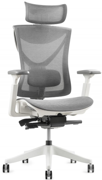 ADAPWORK S1 Mesh Senior ErgoChair