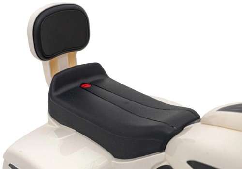 Ramiz Chopper Indian