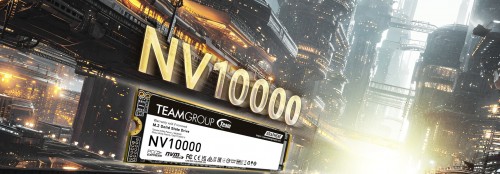 Team Group TM8FGP002T0C101