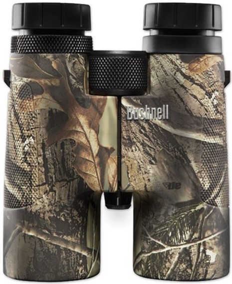 Bushnell Powerview 10x42