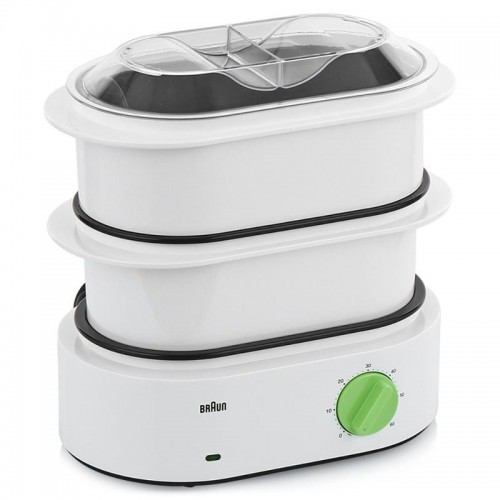 Braun FS 3000